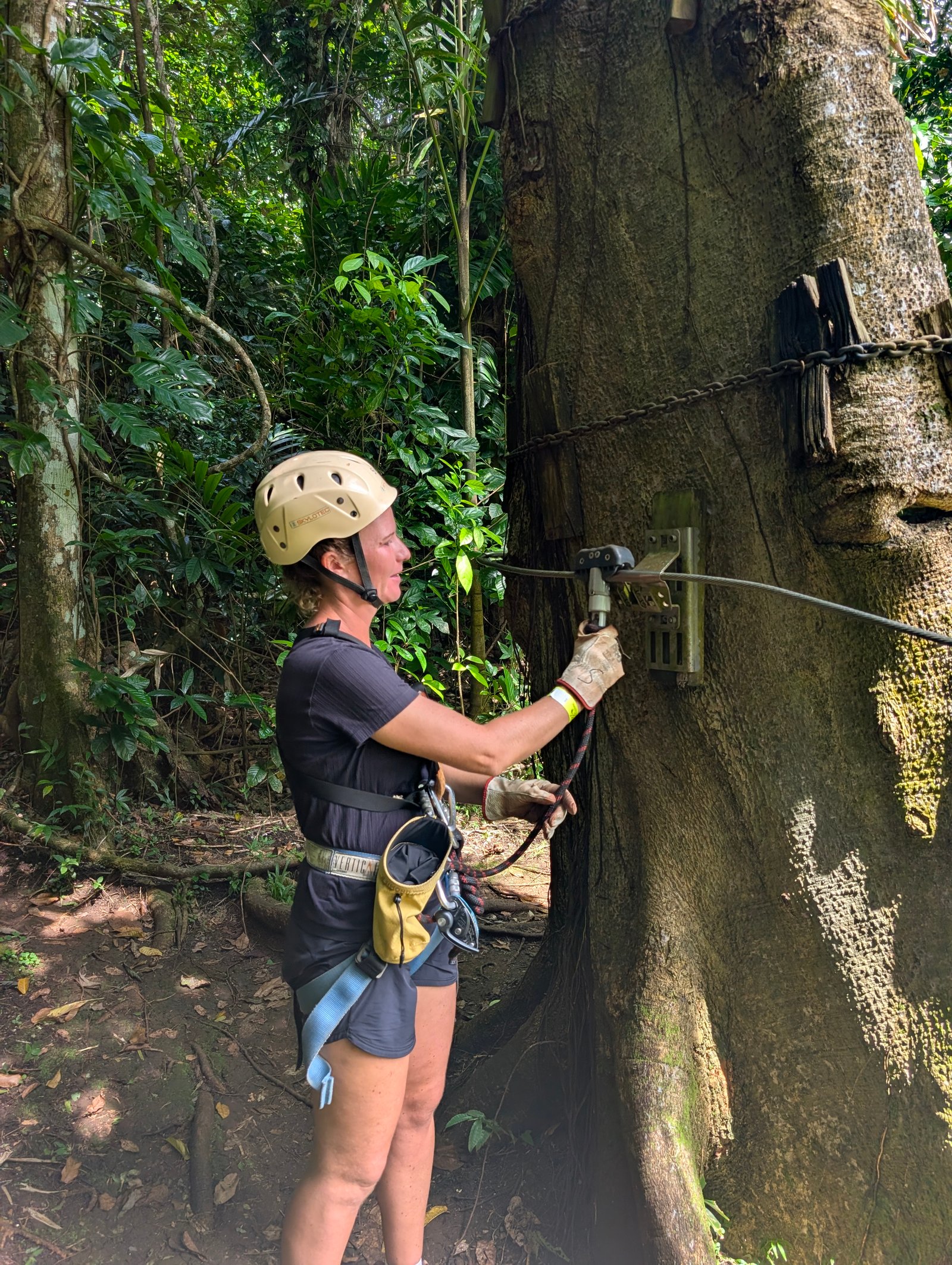 Vanuatu Jungle Zipline Photo 2