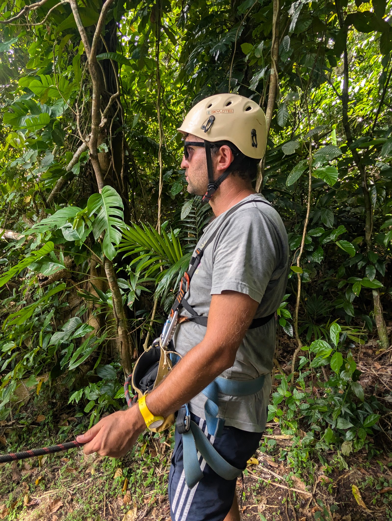 Vanuatu Jungle Zipline Photo 4