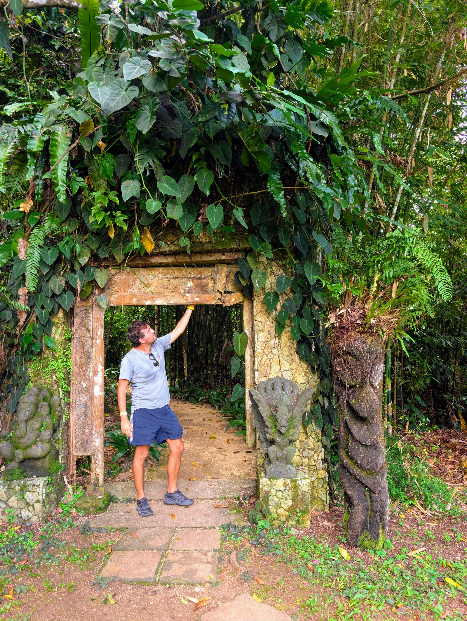 Vanuatu Jungle Zipline Photo 5
