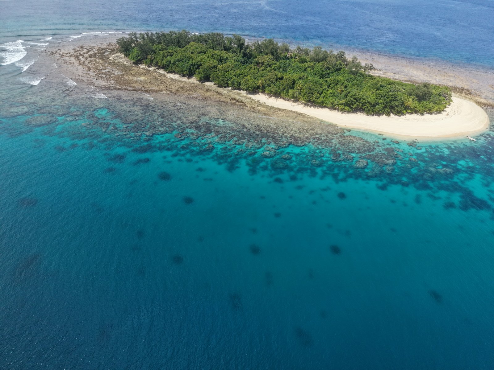 Dany Island Resort Photo 5