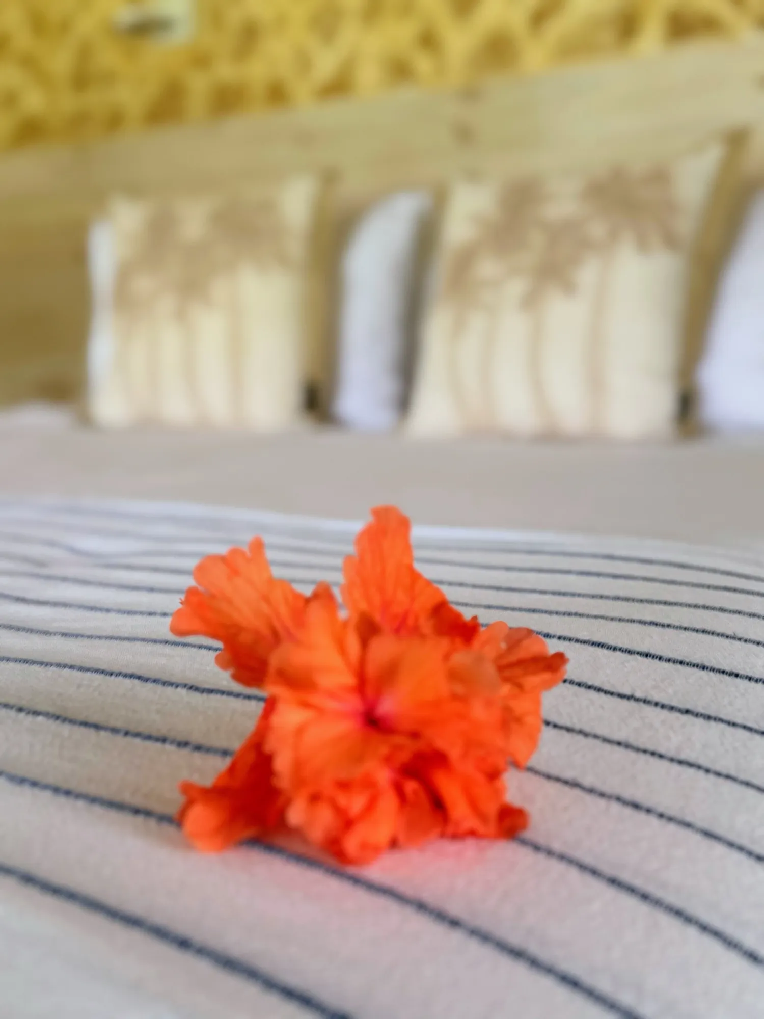 Fleur d'hibiscus orange posée sur le lit de la chambre, villa Santo Saffire, Espiritu Santo